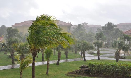 Protection Against Harsh Weather