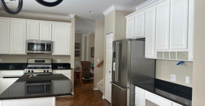 Kitchen Cabinet Project