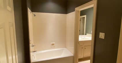 Interior Bathroom Repaint