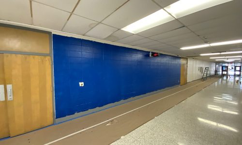 Painting in Progress