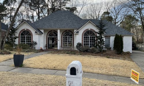 RomaBio Exterior Brick Painting