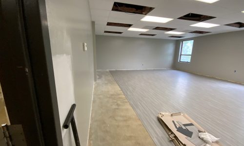 Starting the Project