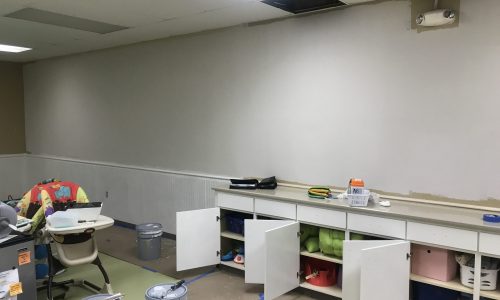 Light Interior Repair