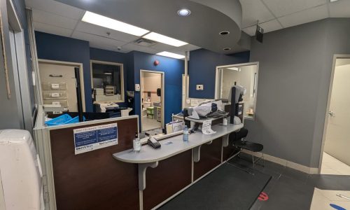 Drive Test - Interior