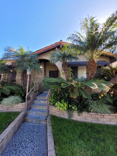 Front (Before) Preview Image 5