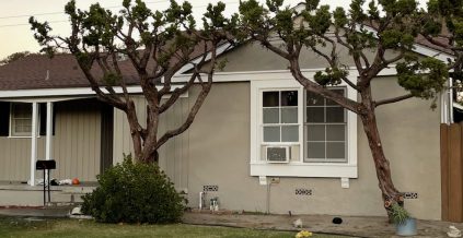 A terrific Earth Tone for Wood and Stucco ...