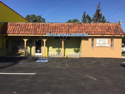 Commercial Retail Painters in Long Beach, CA - CertaPro Painters