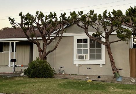 Taupe colored house with white trim after being painted.