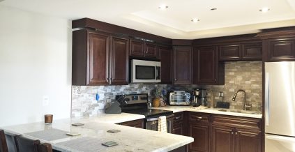 Professional Kitchen Painting