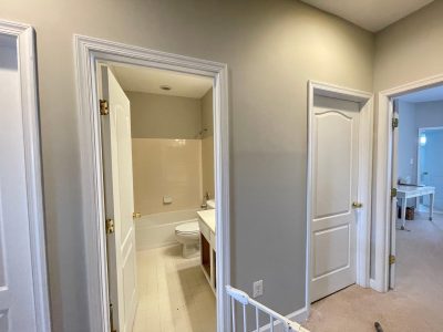 Trim Painting and Walls