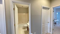 Trim Painting and Walls