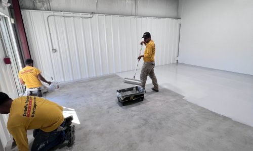 Sierra Navada (Progress)