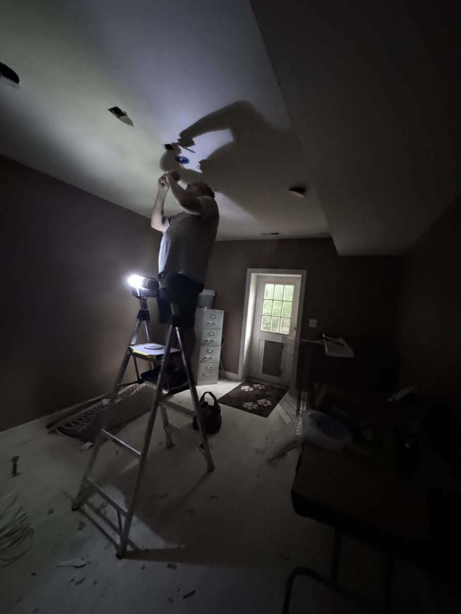 Dog Room (Before) Preview Image 1