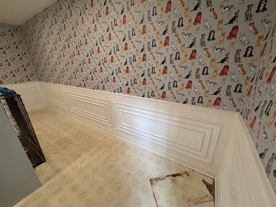 Dog Room (After) Preview Image 6