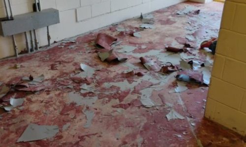 Data Center Floors (Before)