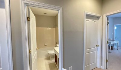 Trim Painting and Walls