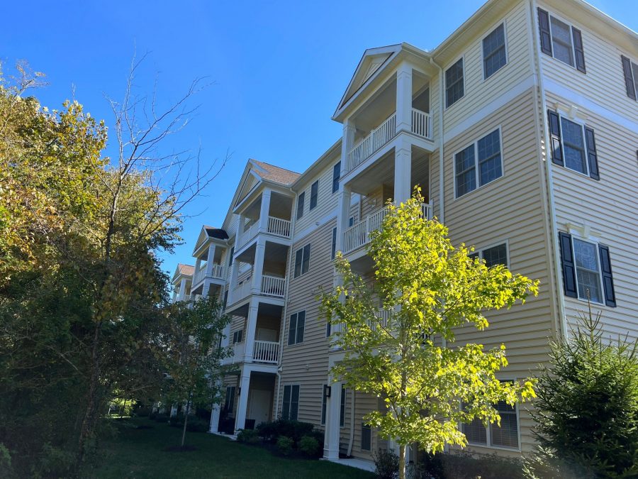 Trim and Vinyl Apartment Renovation Preview Image 4