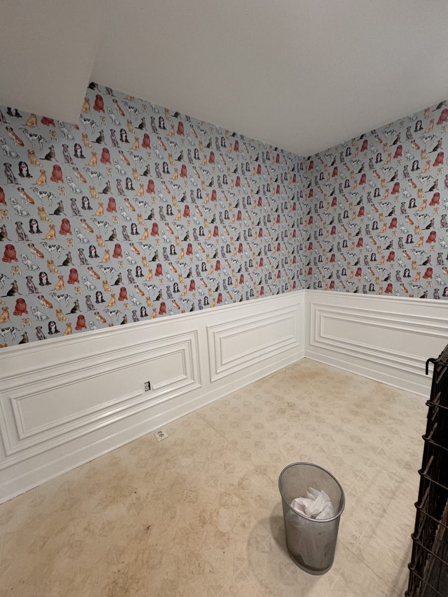 Dog Room (After) Preview Image 5