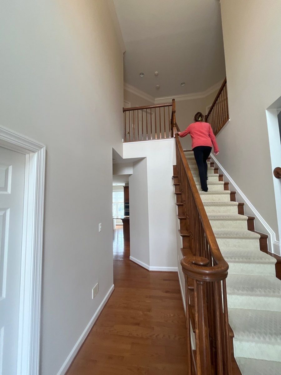 Foyer and Stairway Preview Image 4