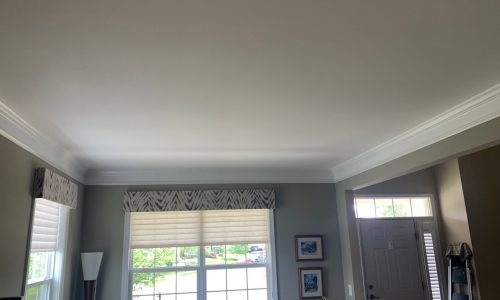 Home Interior Painters