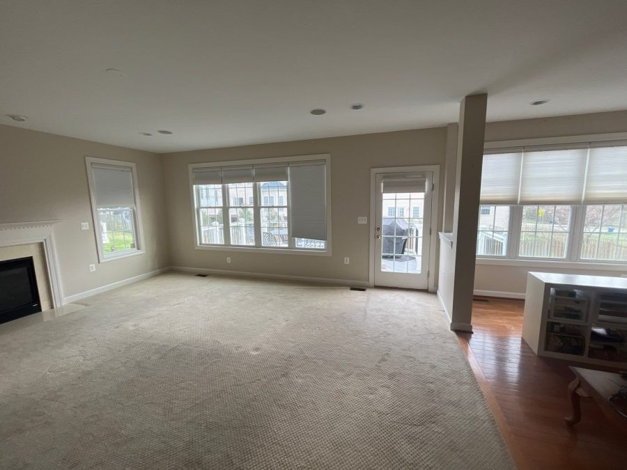 Living Room Painting