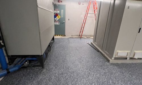 Data Center Floors - Flakes Added (After)