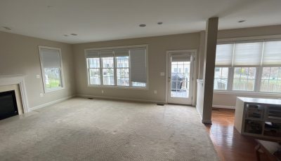 Living Room Painting