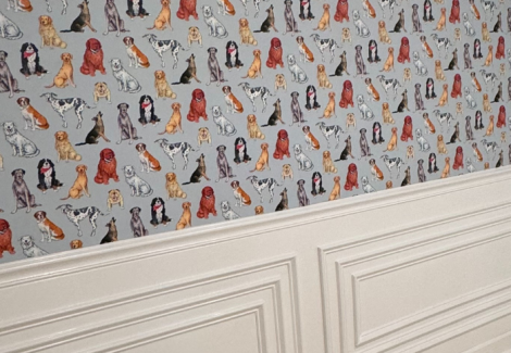 Dog Room Makeover in Ashburn, VA