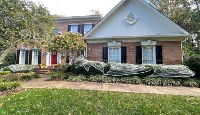 Renewed This Exterior House