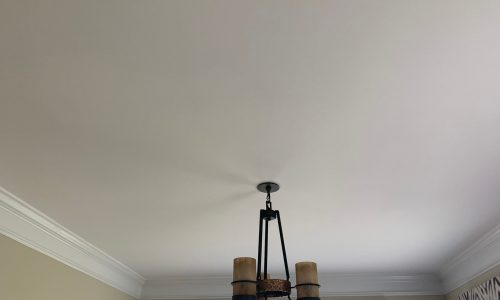 Ceiling Before