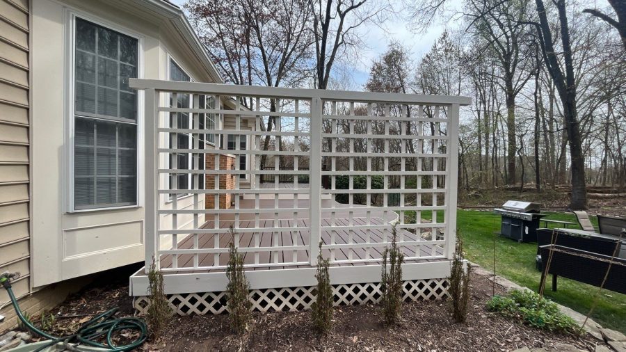 Lattice Repainting Preview Image 3