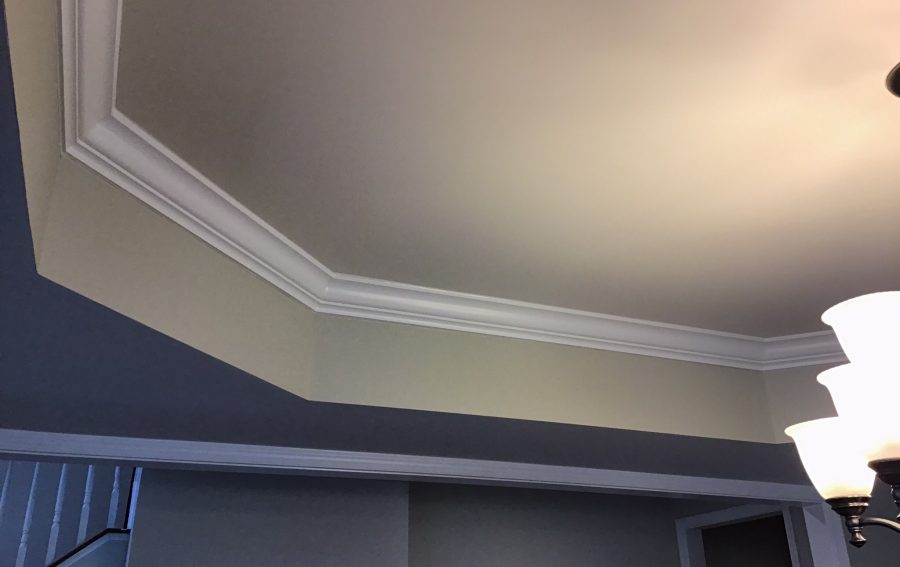 Finished ceiling sections Preview Image 11