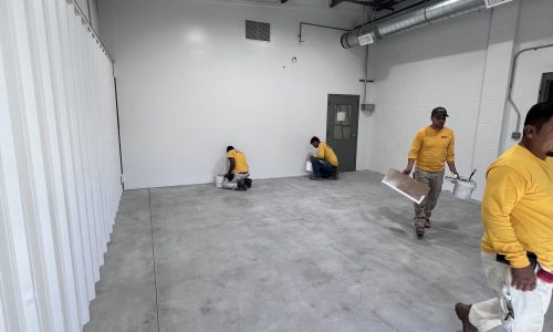 Sierra Navada (Progress)