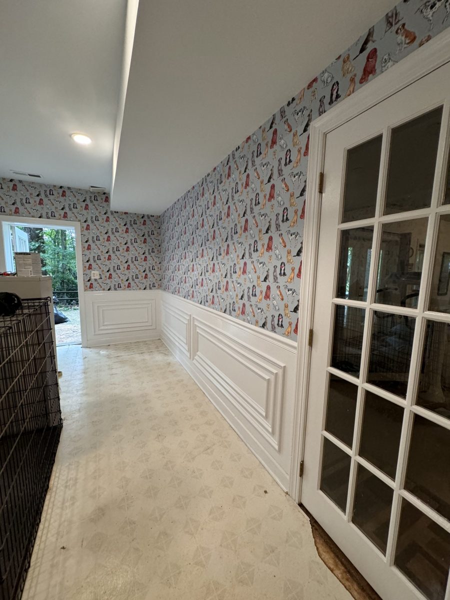 Dog Room (After) Preview Image 7