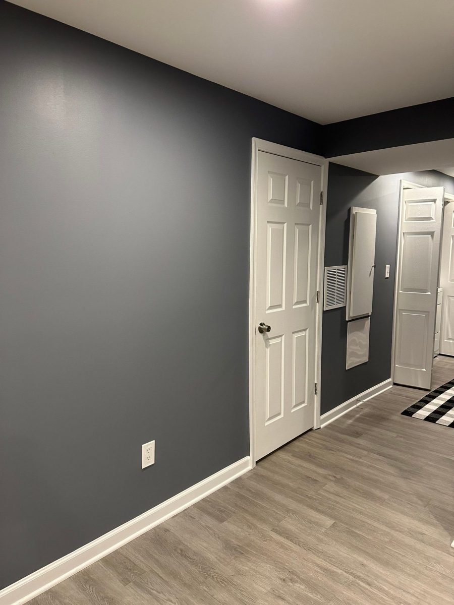 Pop of Color Preview Image 1