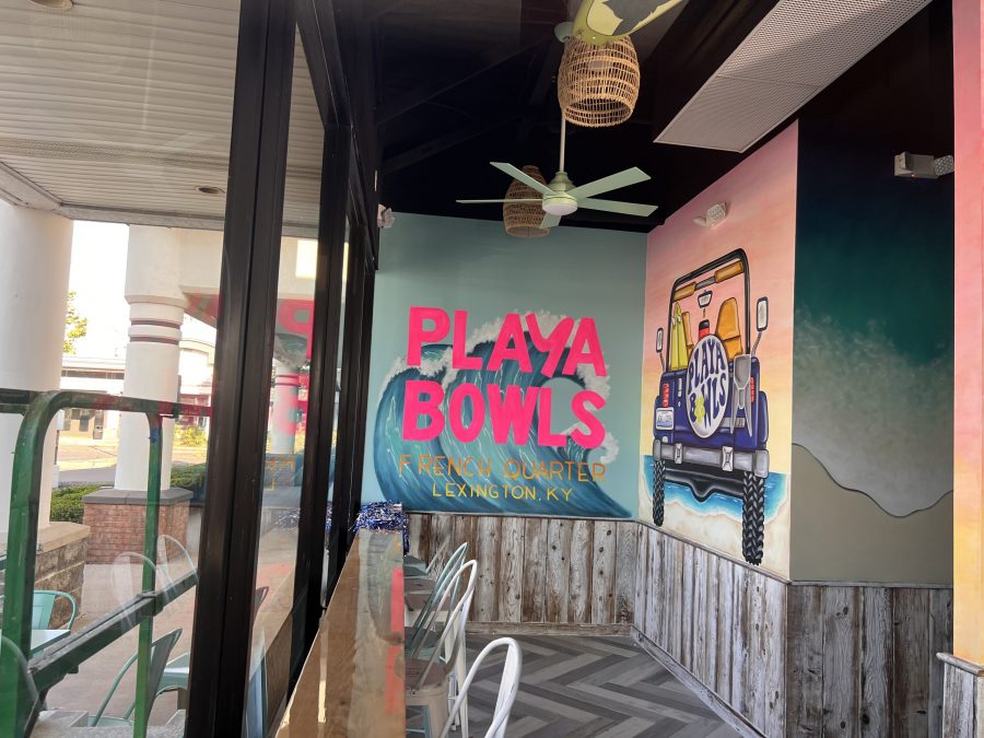 playa bowls interior after painting Preview Image 2