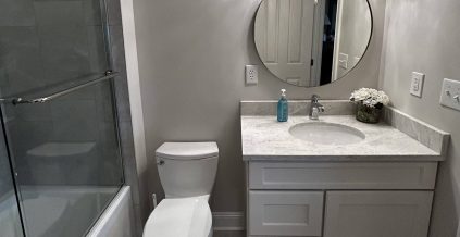 Multi-Bathroom Painting