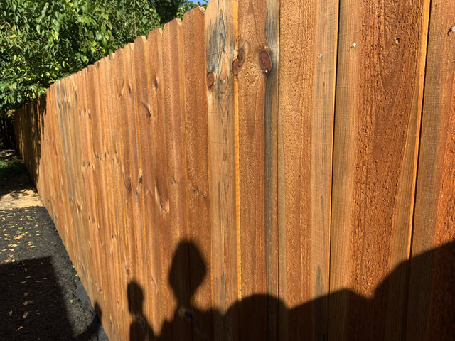 photo of fence in lyndon kentucky after being stained