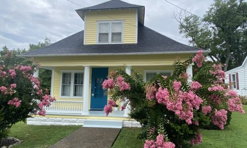 Aluminum Siding Painting