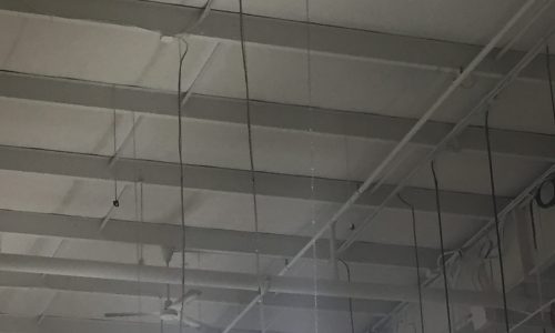 Interior Painting Alternate (After)