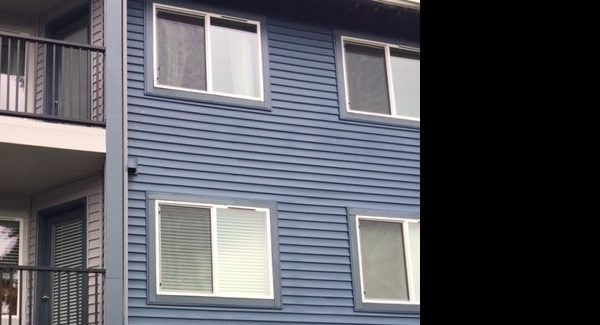 Exterior Painting Rear