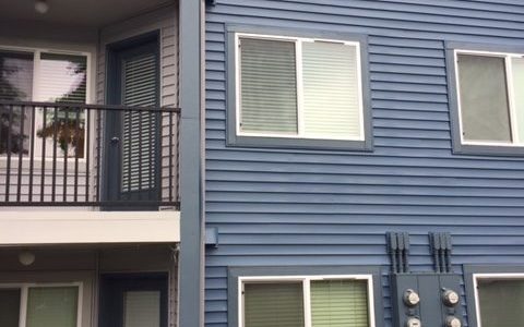 Exterior Painting Rear