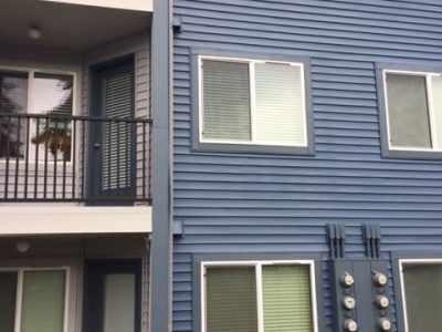 Exterior Painting Rear