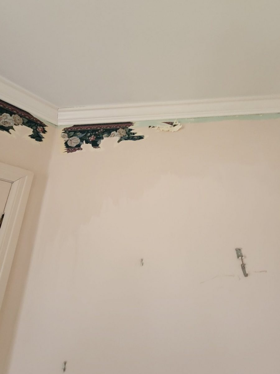 Wallpaper Removal Case Study During Photo Preview Image 15