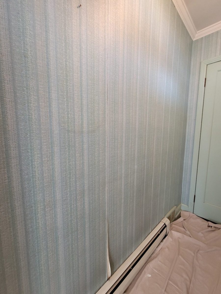 Wallpaper Removal Case Study Before Photo Preview Image 10