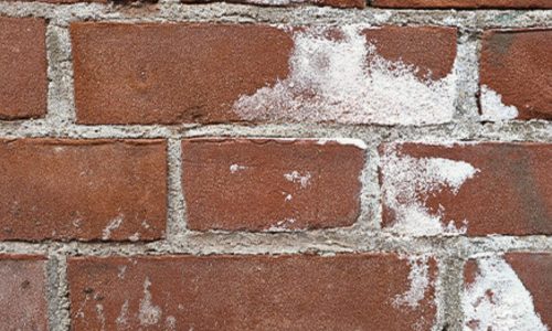 Efflorescence on bricks