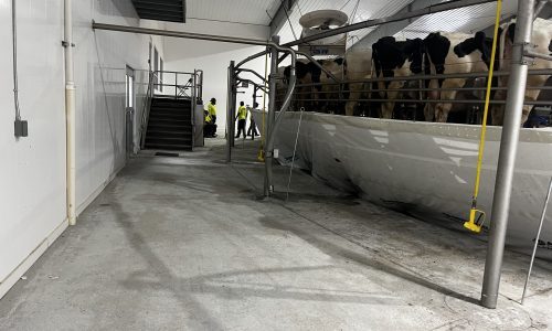 Commercial Flooring Project