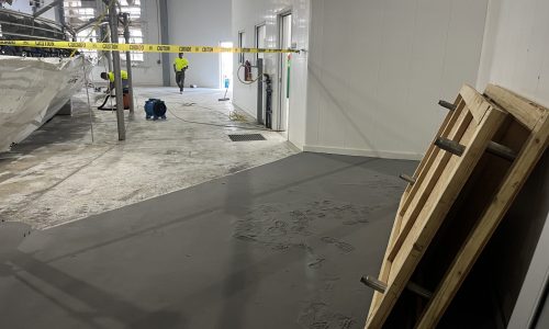 Commercial Flooring Project