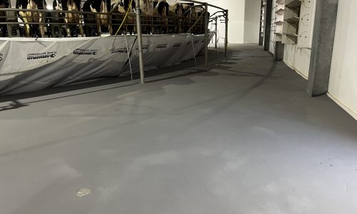 Commercial Flooring Project