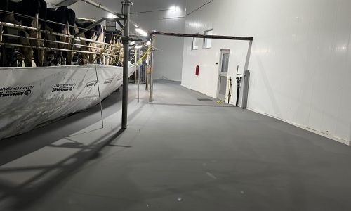 Commercial Flooring Project